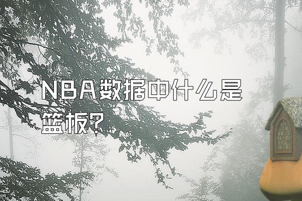 NBA数据中什么是篮板？