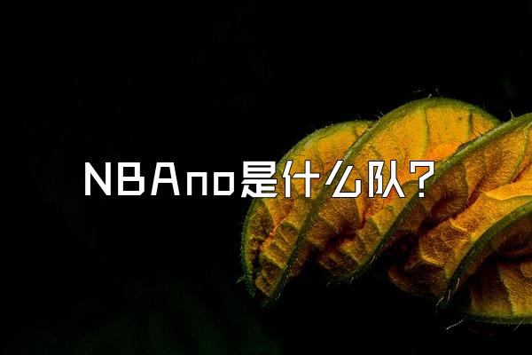 NBAno是什么队？