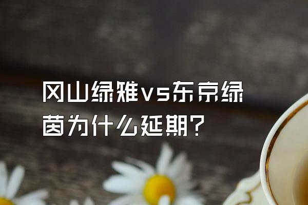 冈山绿雉vs东京绿茵为什么延期？