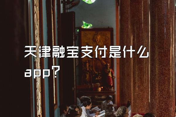 天津融宝支付是什么app？