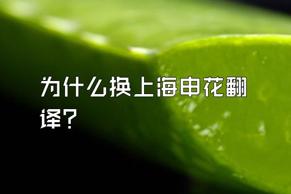 为什么换上海申花翻译？