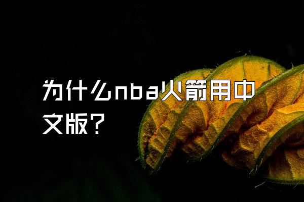 为什么nba火箭用中文版？