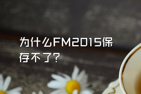 为什么FM2015保存不了？